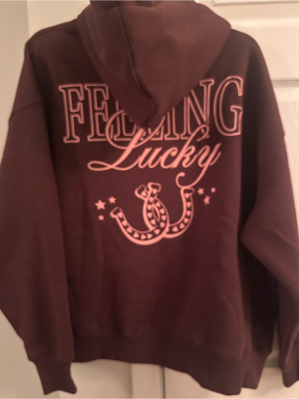 WILO the Label Lucky Horseshoe Chocolate Hoodie - NWT! Size Medium - Picture 6 of 7